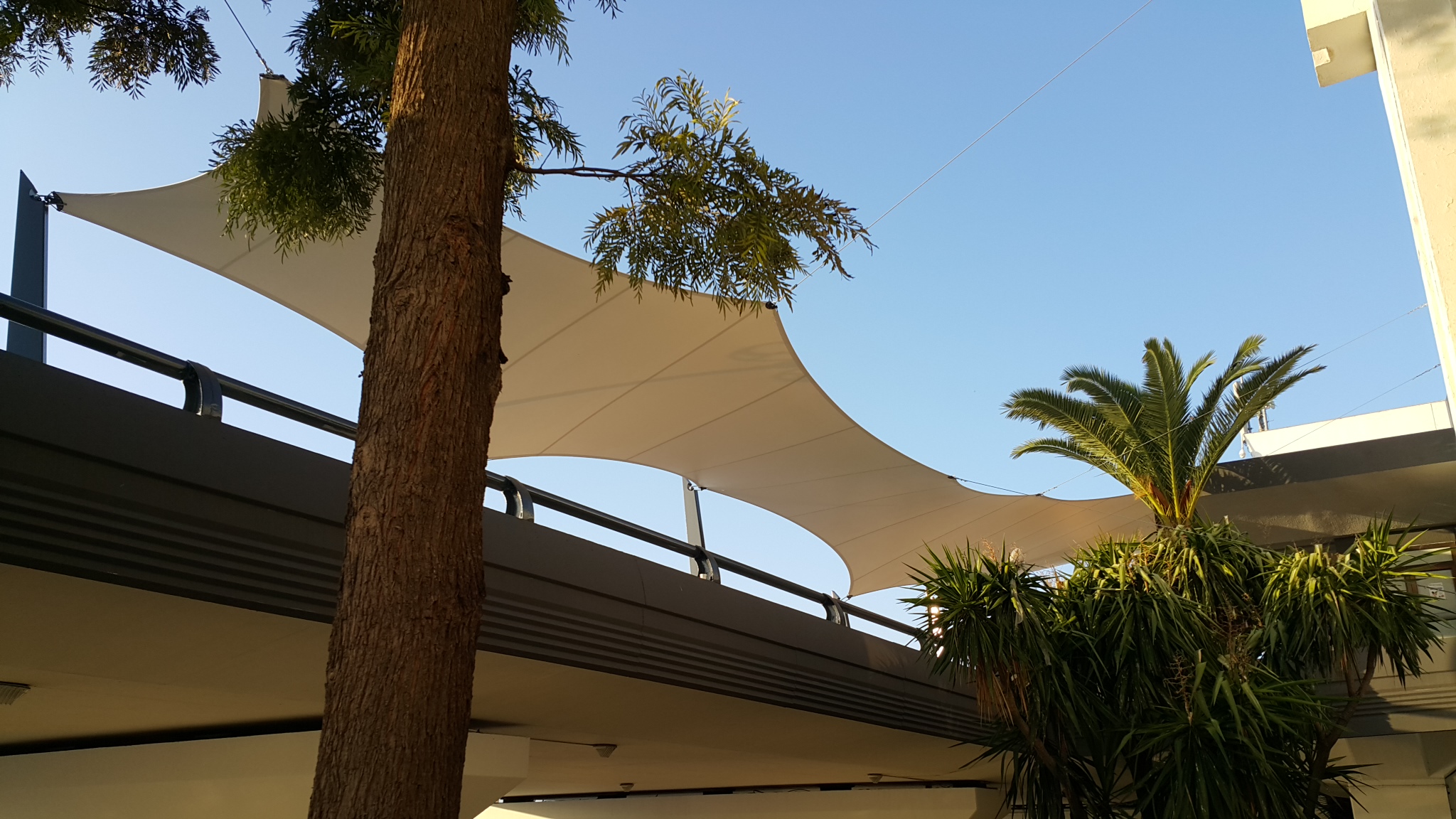 Aéroport Tunis Carthage 1 tunisair144